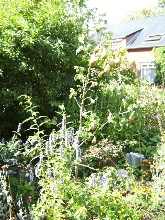 B&B Het Uilennest Bocholt Экстерьер фото